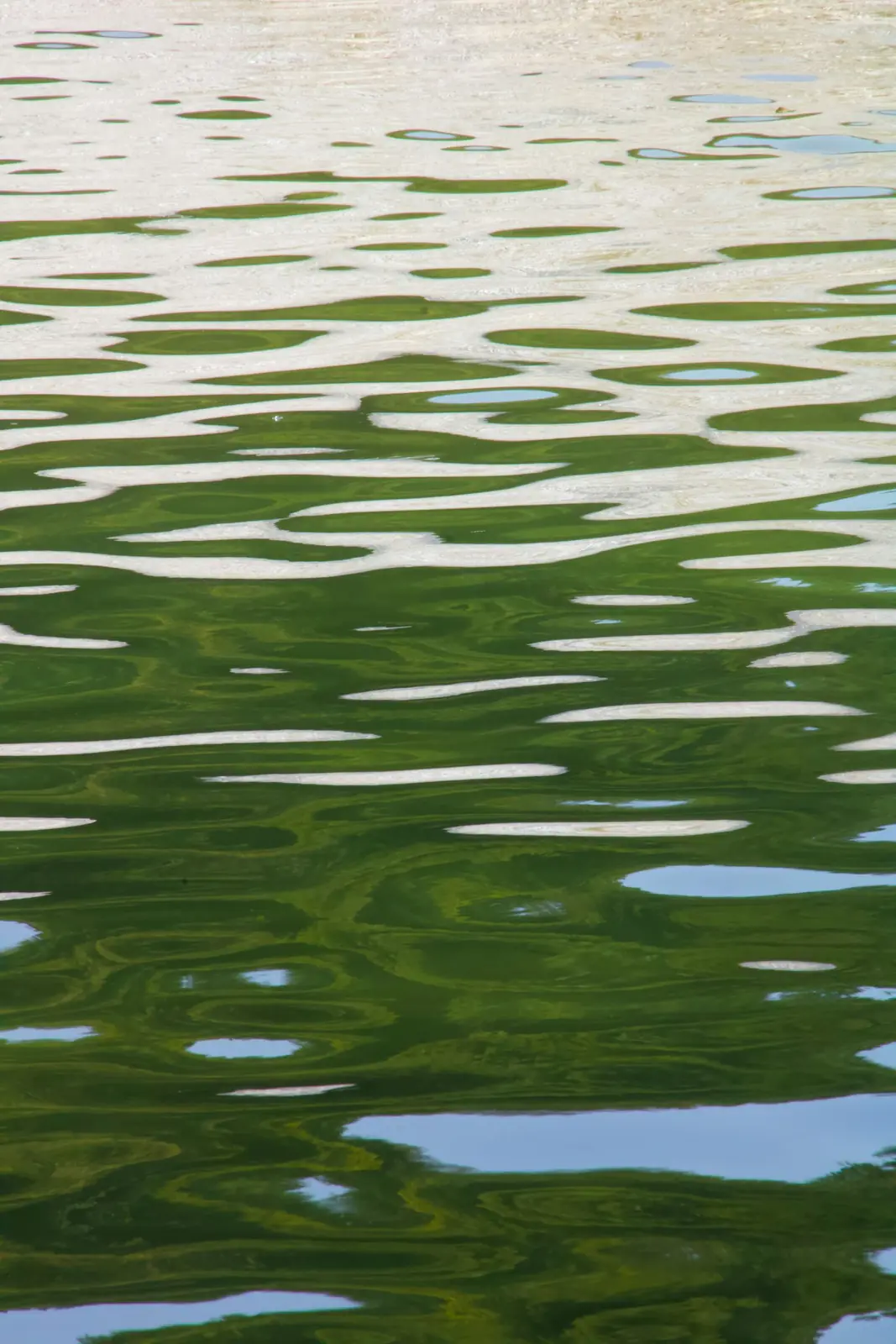Wasserspiegelung am Phönix See in Dortmund